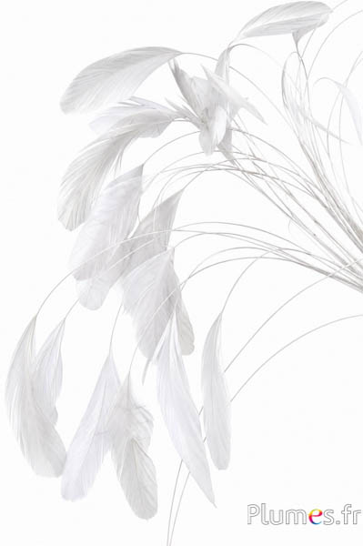 Coquetips - 13-18 cm - wit